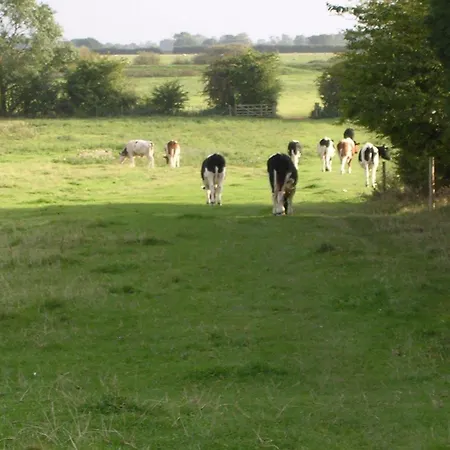 The Manor ベッド・アンド・ブレックファスト